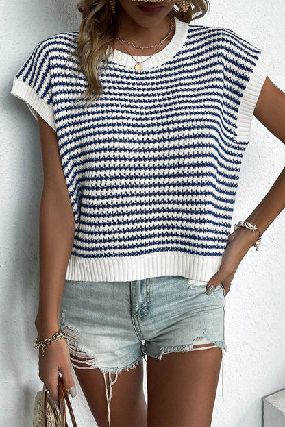 Blue Stripe Contrast Trim Knit Dolman Top - Vesteeto