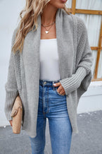 Open Front Long Sleeve Cardigan - Vesteeto