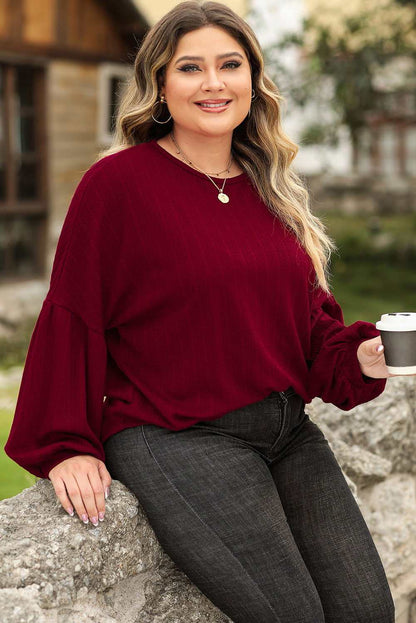 Ruby Plus Size Balloon Sleeve Textured Knit Top - Vesteeto