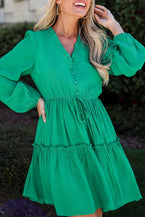 Sea Green Frill V Neck Puff Sleeve Drawstring Mini Dress - Vesteeto