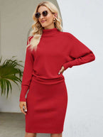 Turtle Neck Long Sleeve Ribbed Sweater Dress 