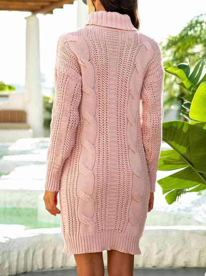 Turtleneck Ribbed Sweater Dress 