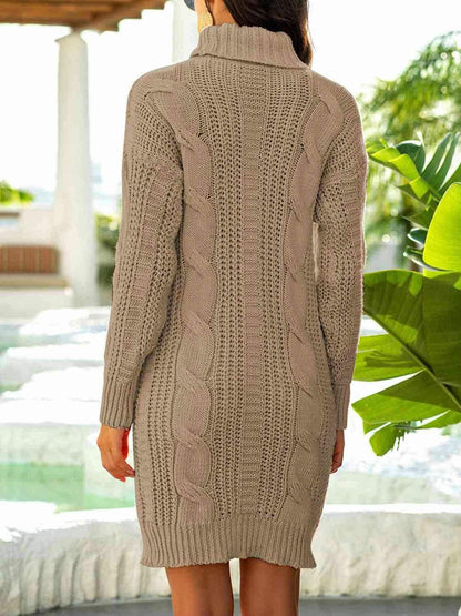 Turtleneck Ribbed Sweater Dress 